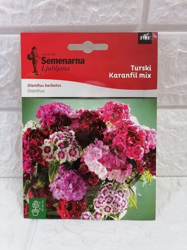 Semena i sadnice: Cena 500din/kesica — 2