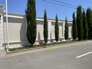 Ağlay: 1.8 azn dən başlayan TOPDAN SATİŞ Bir başa zavod satiş qiymətləri — 4