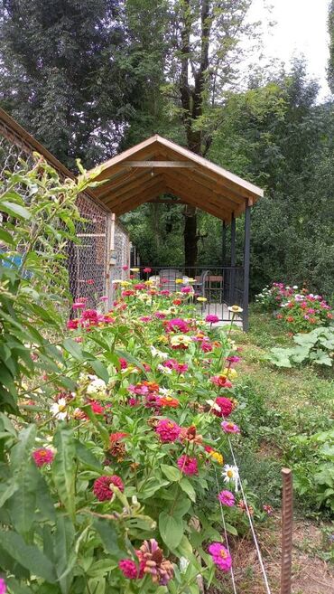 Günlük kirayə evlər: 120 kv. m, 3 otaqlı, Kombi, Su, İnternet -da lalafo.az — 14 Günlük kirayə evlər: 120 kv. m, 3 otaqlı, Kombi, Su, İnternet — 14