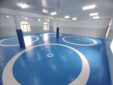 Другие тренажеры: Профессиональные спортивные маты для единоборств Назначение: - борьба — 19