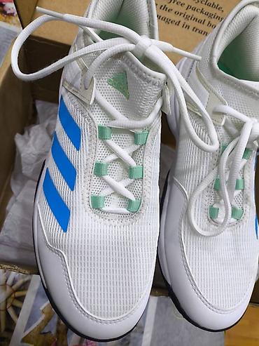 adidas krasovka: Цвет - Белый Кроссовки, Adidas, Размер: 38, Унисекс — 6