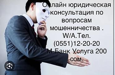 Другие услуги: Онлайн-консультация по гражданским и уголовным делам в суде. Услуга — 4