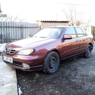 Nissan: Nissan Primera: 2001 г., 1.8 л, Механика, Бензин, Хэтчбэк