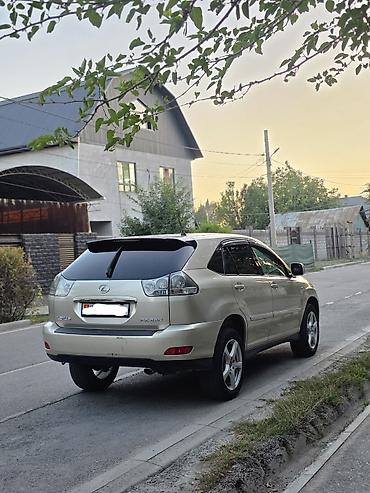 Lexus: Lexus RX: 2004 г., 3 л, Автомат, Бензин, Кроссовер — 5