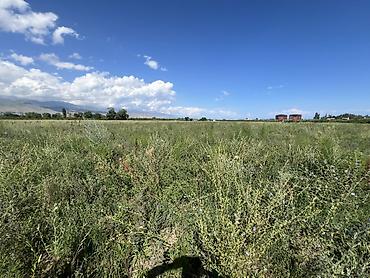 o2 development: 220 соток, Для сельского хозяйства, Договор купли-продажи, Тех паспорт — 4