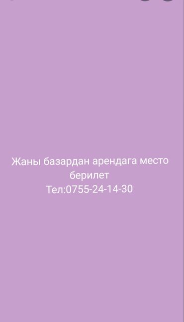 дордой аренда контейнер: Жаны базарда мыло моющий рядта