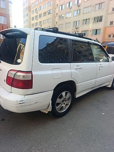 форестер 2012: Subaru Forester: 2001 г., 2 л, Автомат, Бензин, Универсал — 1