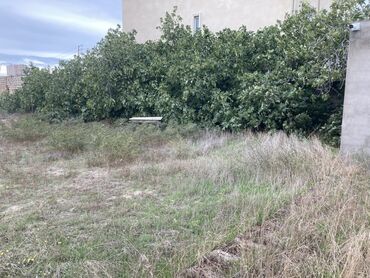 Torpaq sahələrinin satışı: Tikinti — 14