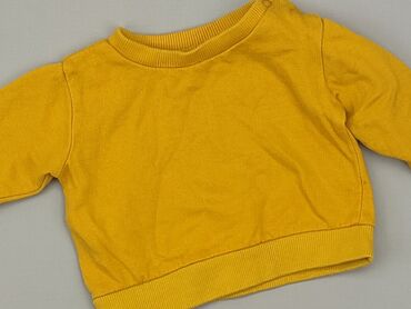 smyk kurtki chłopięce: Sweatshirt, Fox&Bunny, 0-3 months, condition - Very good