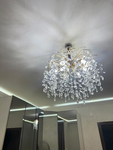 Bitkilər: Çılçıraq, 10 və daha çox lampa, Xrustal
