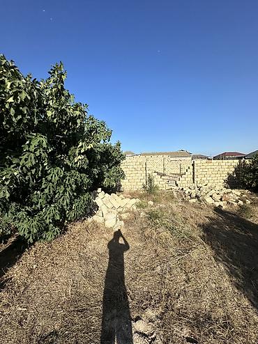qəbələ torpaq: 4 sot, Tikinti, Maklerlər narahat etməsin, Kupça (Çıxarış) — 2