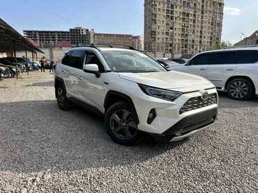 эко коврик в машину: Toyota RAV4: 2021 г., 2.5 л, Вариатор, Гибрид, Кроссовер