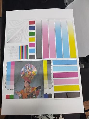 Принтеры: Продам б/у принтер Epson l805, пробег 31000 страниц, новый двигатель — 4