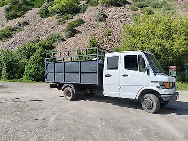 daf адиночка: Mercedes-Benz T1: 1993 г., 2.9 л, Механика, Дизель, Бус — 2