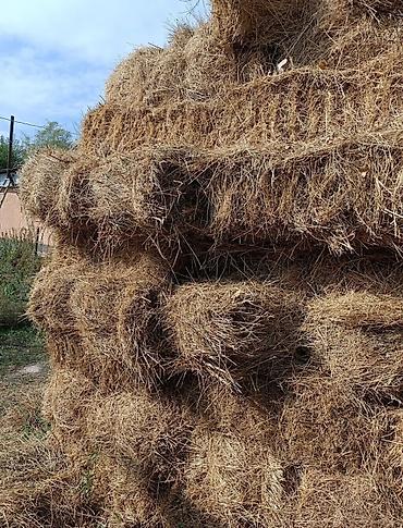 списанные товары бесплатно: Сена 1- укос. Есть в наличии около 90,100 шт. Цена окончательная — 2