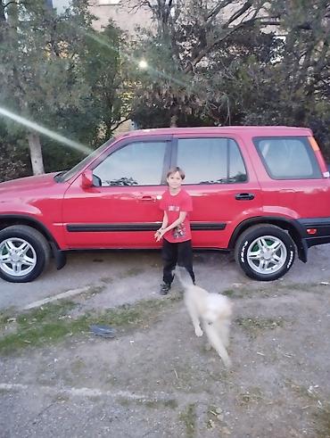 Honda: Honda CR-V: 1999 г., Автомат, Бензин, Кроссовер — 4