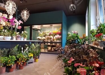 сдаю цветочный магазин: Ищу хорошее помещение под цветочную(+клубника), от 40 м имеем