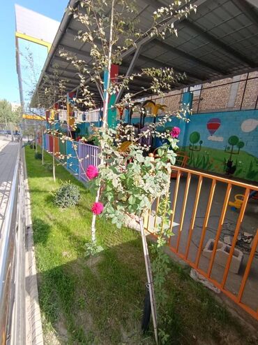дом село восток: 3 бөлмө, 117 кв. м, Элитка, 7 кабат, ПСО (өзү оңдоп түзөтүп бүтүү үчүн)
