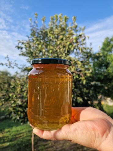 bal arısı satışı: Təbii Turyanchay Qoruğu balı🐝🍯 Balın Təbiiliyinə tam zəmanət verilir