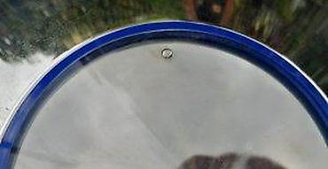 Satovi za kuću: ZEPTER 18/10 Stainless Steel zidni sat. Očaravajući. Elegantan — 13