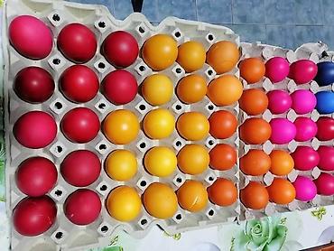 Kućna hemija i proizvodi za kuću: 🪺makedonske boje za jaja "paleta 7"🪺 🪺najpoznatije i najprodavanihe — 15