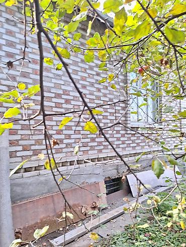 Продажа дач: Продается Дача с.Арашан в садовом товариществе”Электрик” участок 5 — 4