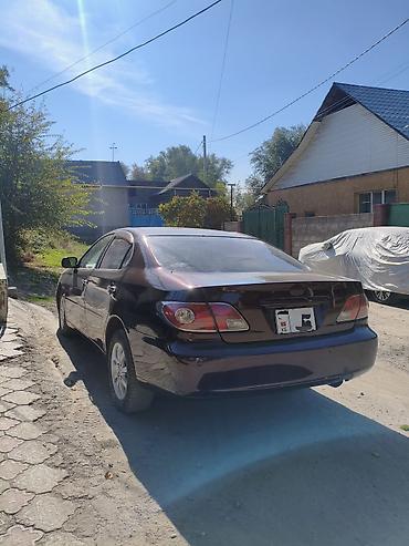 camry universal: Toyota Windom: 2003 г., 3 л, Автомат, Газ, Седан — 3