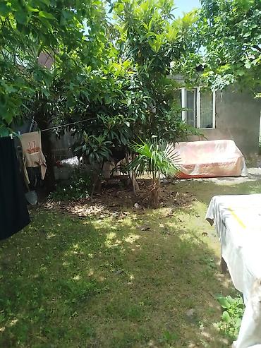 Həyət evləri və villaların satışı: 5 otaqlı, 81 kv. m, Kredit yoxdur, Orta təmir — 9