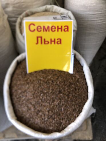 Другие виды семян и саженцев: Семена Льна 
Семена Расторопша
Очищенный Овёс