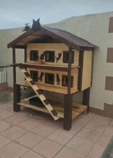 Yuvalar: Məhsul: Açıq havada istifadə üçün taxta pişik evi Təsvir: - Küçə və — 11