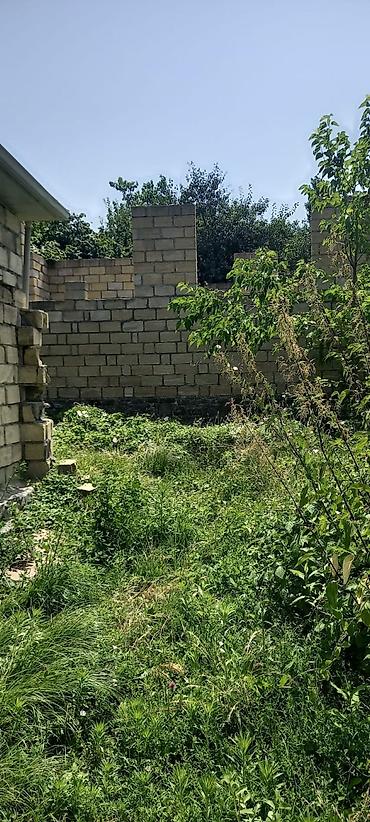 Torpaq sahələrinin satışı: 5 sot, Tikinti, Mülkiyyətçi, Kupça (Çıxarış) — 1
