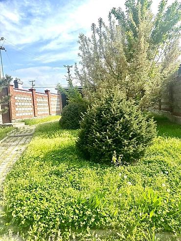 Долгосрочная аренда домов: 400 м², 7 комнат, Забор, огорожен, Теплый пол, Бронированные двери — 5