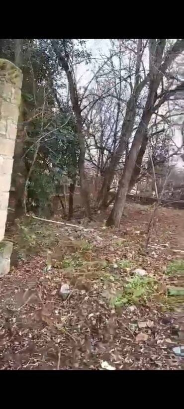 Kommersiya daşınmaz əmlakının satışı: Şəkidə fabrik satılır. Qiymətdə razılaşmaq. Yalnız real alıcılarla -da lalafo.az — 3 Kommersiya daşınmaz əmlakının satışı: Şəkidə fabrik satılır. Qiymətdə razılaşmaq. Yalnız real alıcılarla — 3