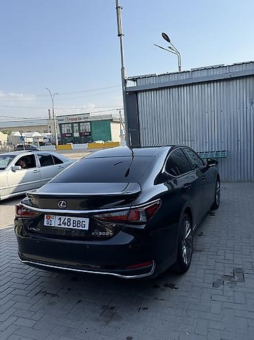 купить лексус ес: Lexus ES: 2019 г., 2.5 л, Автомат, Гибрид, Седан — 2