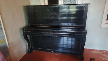 elektron gitara per page 40: Piano, Belarus, Akustik, İşlənmiş, Ünvandan götürmə — 2
