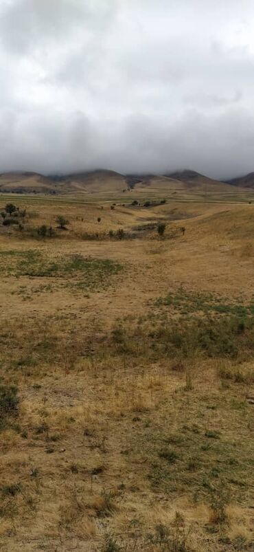 село заречное: Село Кошой и ч/з 300 метров дамба с шлюзами. : 4,5 га под рыбное