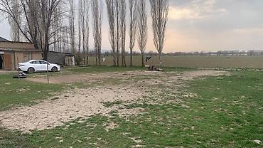 современный: 9 соток, Для строительства, Договор купли-продажи, Красная книга — 3
