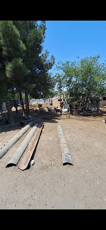 pulsuz elan yerləşdir: 15 sot, Tikinti, Mülkiyyətçi, Bələdiyyə — 1