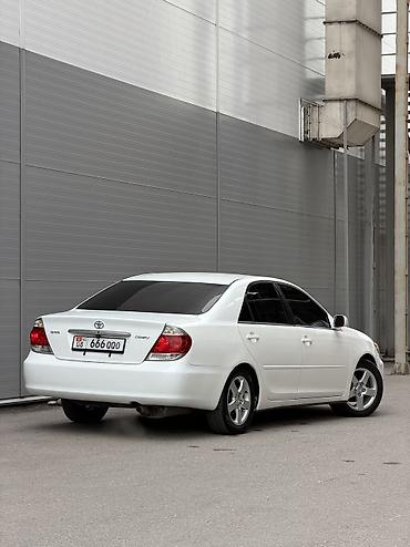 Toyota: Toyota Camry: 2006 г., 2.5 л, Типтроник, Бензин — 2