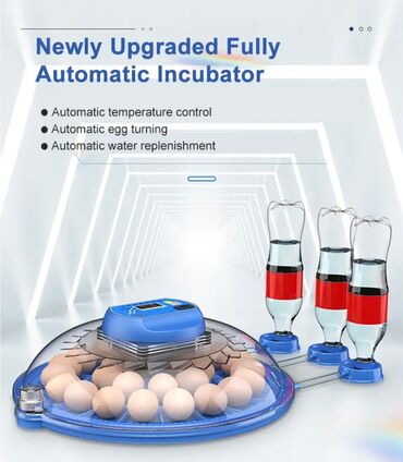 Oprema za kućne ljubimce: INKUBATOR Automatski nove generacije za 52 jaja 12v/220v — 7
