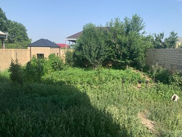 Həyət evləri və villaların satışı: 10 otaq, 700 kv. m, Kredit yoxdur, Təmirsiz — 12