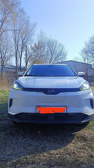 Другой электротранспорт: Электромобиль кроссовер Weldmestr (бренд китайского происхождения) — 1