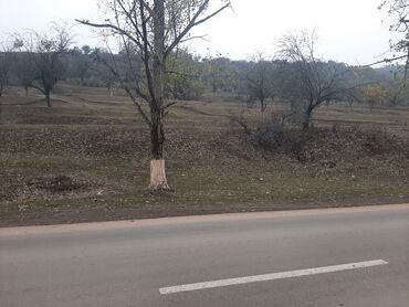 Torpaq sahələrinin satışı: 24 sot, Mülkiyyətçi, Kupça (Çıxarış) -da lalafo.az — 9 Torpaq sahələrinin satışı: 24 sot, Mülkiyyətçi, Kupça (Çıxarış) — 9