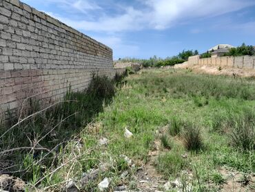 novxani deniz kenari restoranlar: 17 sot, Tikinti, Mülkiyyətçi, Kupça (Çıxarış)
