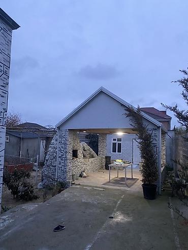 dekorativ bitkiler adlari: Dekorativ bağ bitkiləri və landşaft tərtibatı üçün həllər - Qapalı — 7