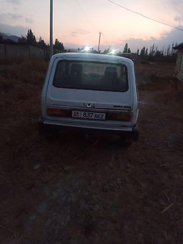 Продажа авто: ВАЗ (ЛАДА) 4x4 Нива: 1989 г., 1.6 л, Механика, Бензин, Внедорожник — 6