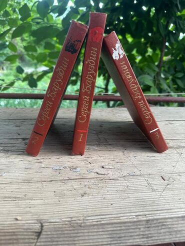 Художественная литература: Классика, На русском языке — 13