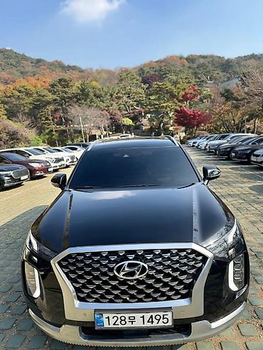 Hyundai: Hyundai Palisade: 2020 г., Бензин, Кроссовер — 3