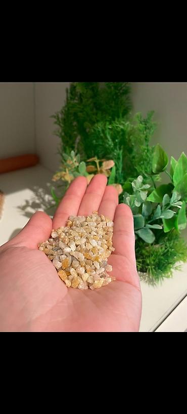 beta balığı qiymət: Dördbucaq akvarium, Boş, 150 l, Ödənişli çatdırılma, Ünvandan götürmə, Rayonlara çatdırılma — 4