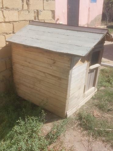 Taxta it evi / dam - Material: qalın taxta karkas, taxta obşivka - lalafo.az -da — 4 Taxta it evi / dam - Material: qalın taxta karkas, taxta obşivka - — 4